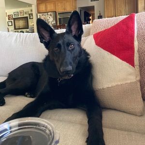 Meet your Posher, Erin